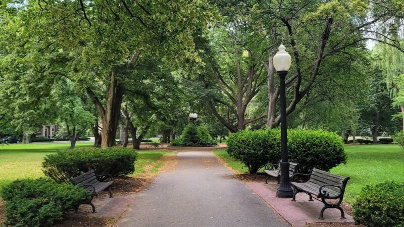 Knyvet Square - Brookline, MA