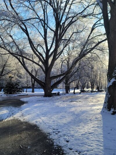 Knyvet Square - Brookline, MA