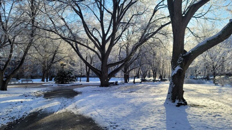 Knyvet Square - Brookline, MA