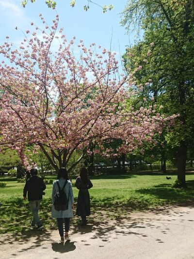 Knyvet Square - Brookline, MA