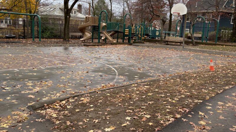 Schick Park - Brookline, MA