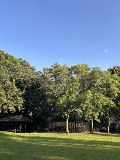Schick Park - Brookline, MA