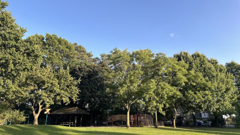 Schick Park - Brookline, MA