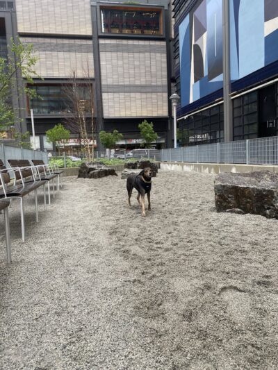 Abolitionist Place - Brooklyn, NY