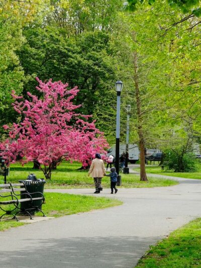 Amersfort Park - Brooklyn, NY