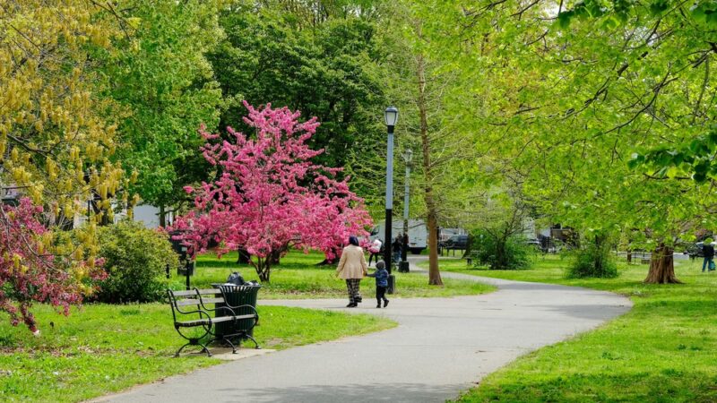 Amersfort Park - Brooklyn, NY