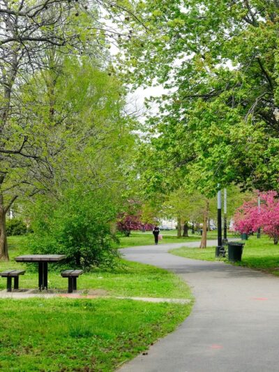 Amersfort Park - Brooklyn, NY