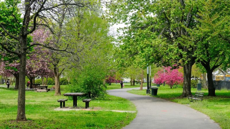 Amersfort Park - Brooklyn, NY