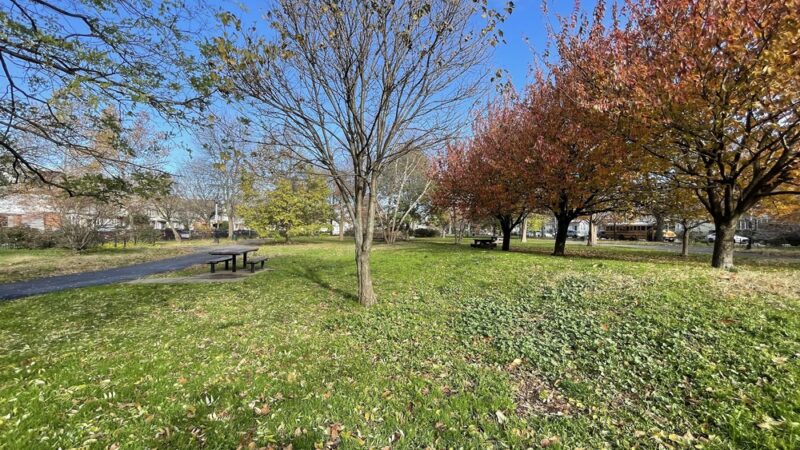 Amersfort Park - Brooklyn, NY