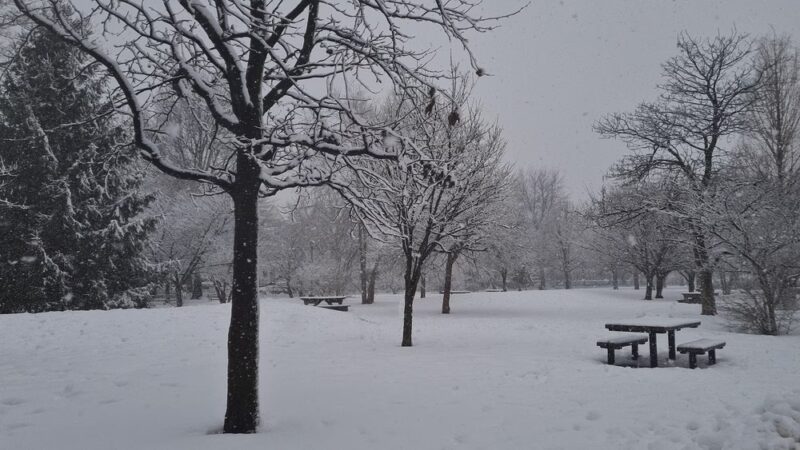 Amersfort Park - Brooklyn, NY