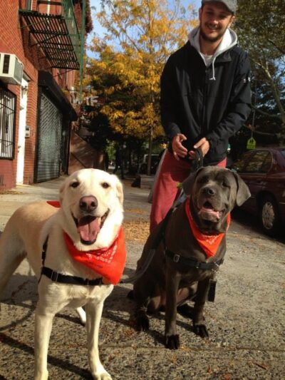 Brooklyn Bark - Brooklyn, NY