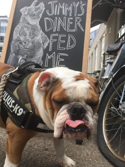 Brooklyn Bark - Brooklyn, NY