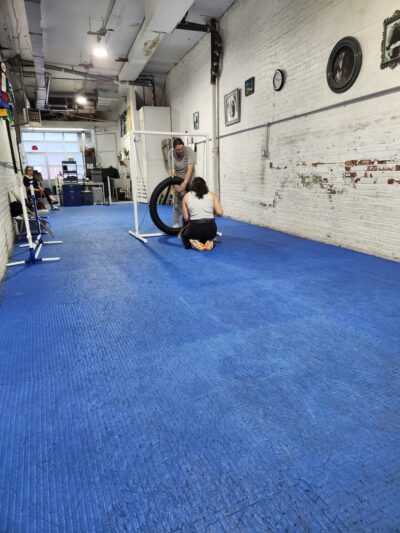 Brooklyn Dog Training Center - Brooklyn, NY