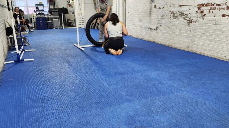 Brooklyn Dog Training Center - Brooklyn, NY