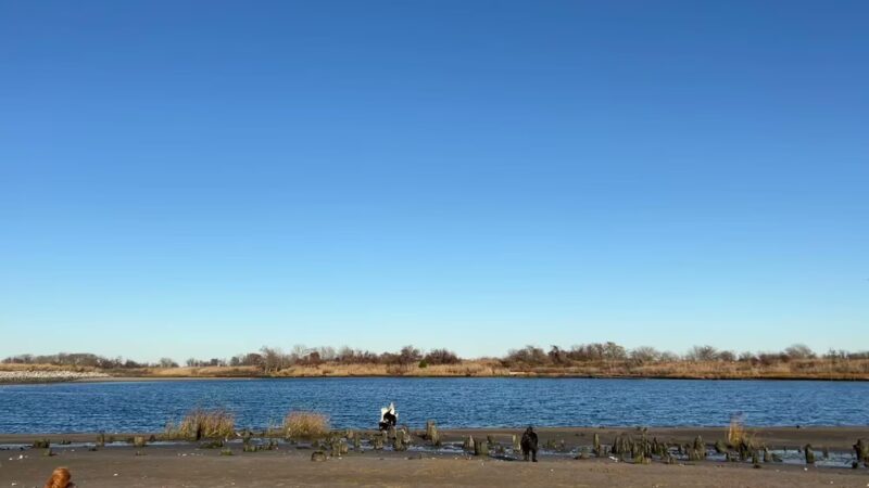 Brooklyn Dog Walk - Brooklyn, NY