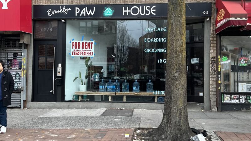 Brooklyn Paw House - Brooklyn, NY