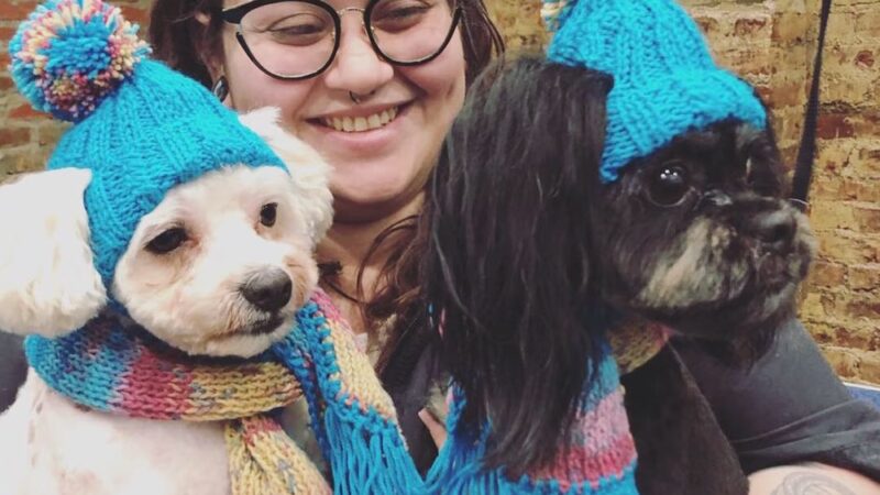 Brooklyn Paw House - Brooklyn, NY