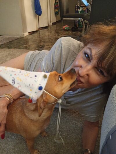 Brooklyn Unleashed - Brooklyn, NY