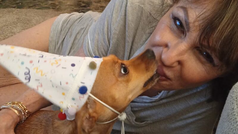 Brooklyn Unleashed - Brooklyn, NY