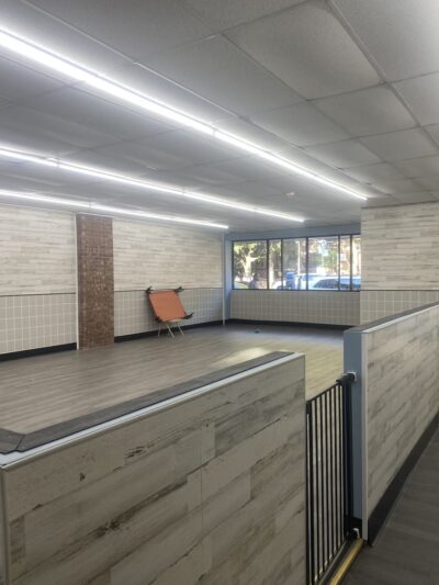 Brooklyn Unleashed - Brooklyn, NY