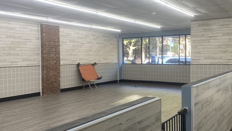 Brooklyn Unleashed - Brooklyn, NY