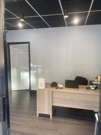 Brooklyn Unleashed - Brooklyn, NY