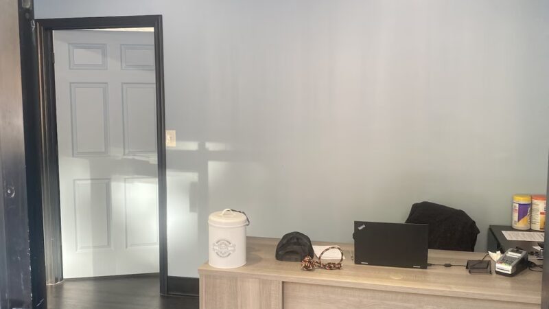 Brooklyn Unleashed - Brooklyn, NY