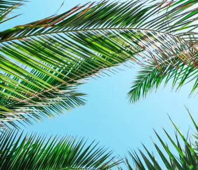 Charlotte Beach - Brooklyn, NY