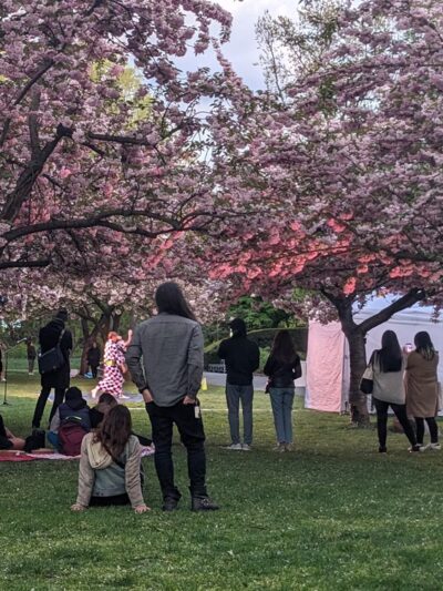 Cherry Esplanade - Brooklyn, NY