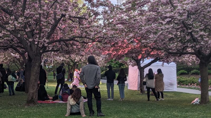 Cherry Esplanade - Brooklyn, NY