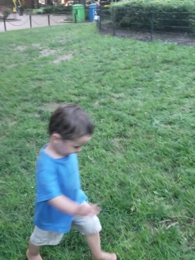 Cobble Hill Park - Brooklyn, NY