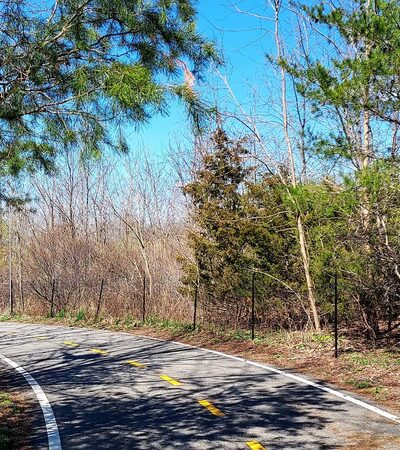 Connector From Canarsie Park to Belt Parkway Path - Brooklyn, NY