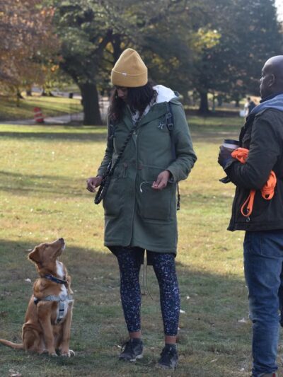 Corey Harden K9 - Brooklyn, NY