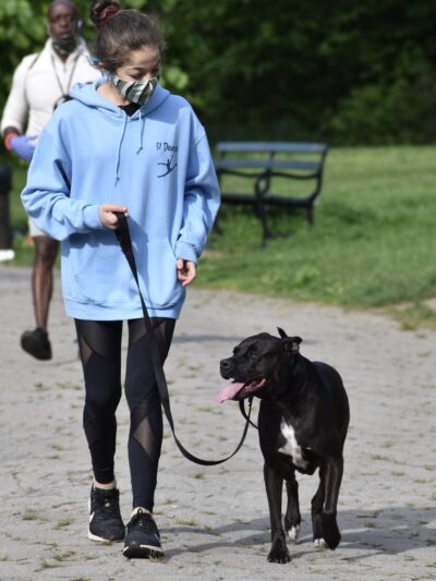 Corey Harden K9 - Brooklyn, NY