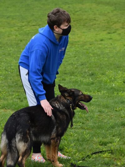 Corey Harden K9 - Brooklyn, NY