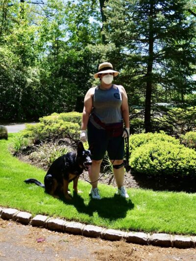 Dan's Pet Care - Brooklyn - Brooklyn, NY