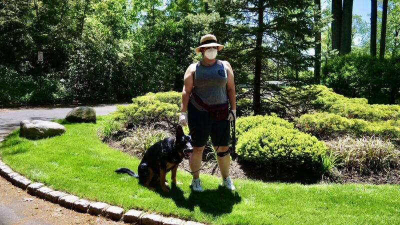 Dan's Pet Care - Brooklyn - Brooklyn, NY