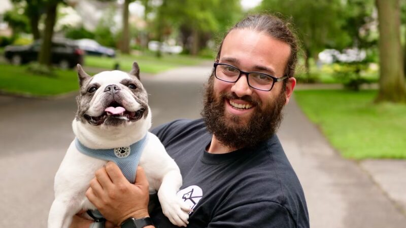 Dan's Pet Care - Brooklyn - Brooklyn, NY