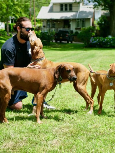 Dan's Pet Care - Brooklyn - Brooklyn, NY