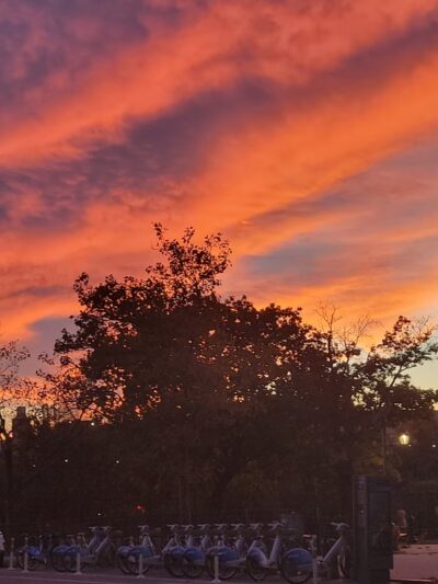 Detective Joseph Mayrose Park - Brooklyn, NY