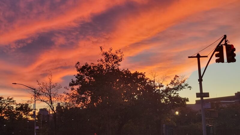 Detective Joseph Mayrose Park - Brooklyn, NY