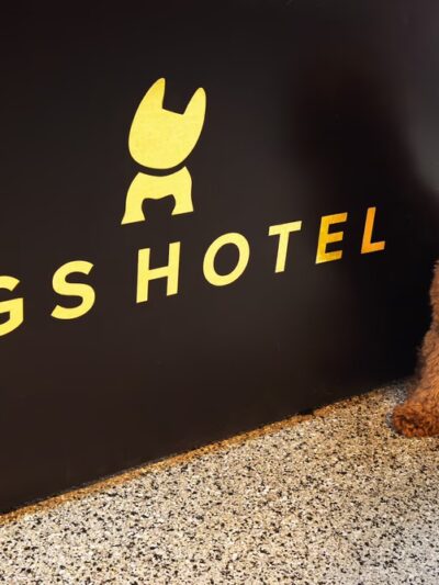 DIGS Canine Hotel Spa & Daycare - Brooklyn, NY