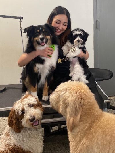 DIGS Canine Hotel Spa & Daycare - Brooklyn, NY