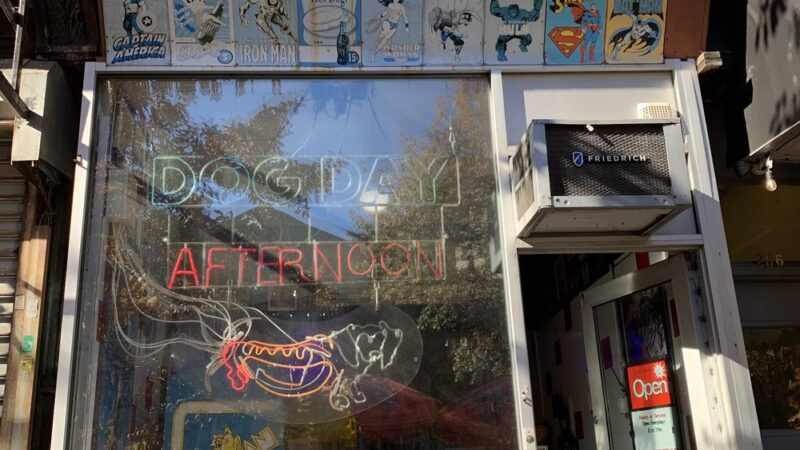 Dog Day Afternoon - Brooklyn, NY