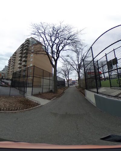 Dog Park - Brooklyn, NY