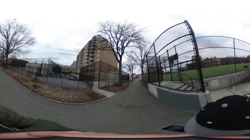 Dog Park - Brooklyn, NY