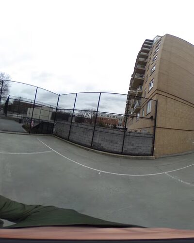 Dog Park - Brooklyn, NY