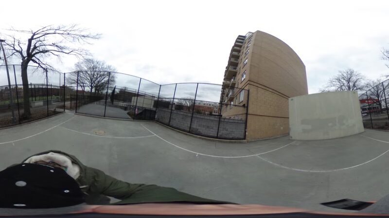 Dog Park - Brooklyn, NY