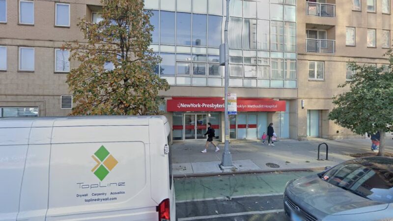 Dog Park - Brooklyn, NY