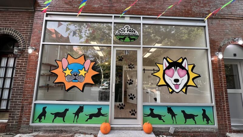 Dog Park Grooming & Daycare - Professional Dog Grooming & Daycare Services - Brooklyn, NY